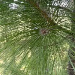 05166336-0617-40b1-b4f0-a774e024f9b3