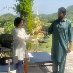 c4909eed-2b5d-408b-af30-ff706c16a5ad