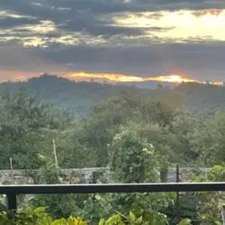 dd378f38-a322-4cee-8b80-bac87f81523e